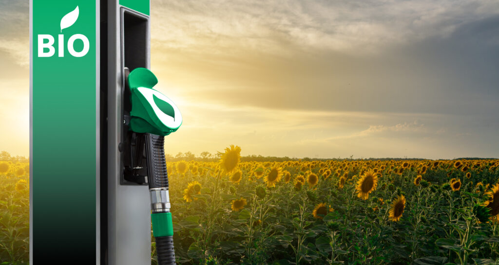 Biofuel station beside sunflower field.