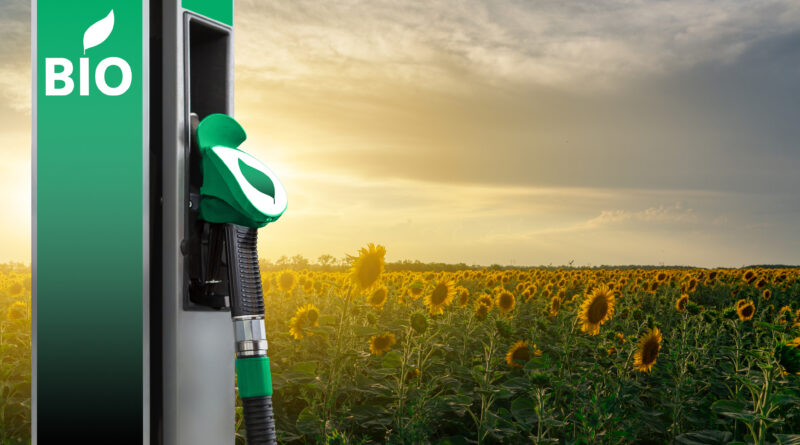 Biofuel station beside sunflower field.